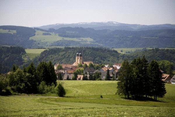 Gaestehaus Wald Und See Titisee-Neustadt Εξωτερικό φωτογραφία