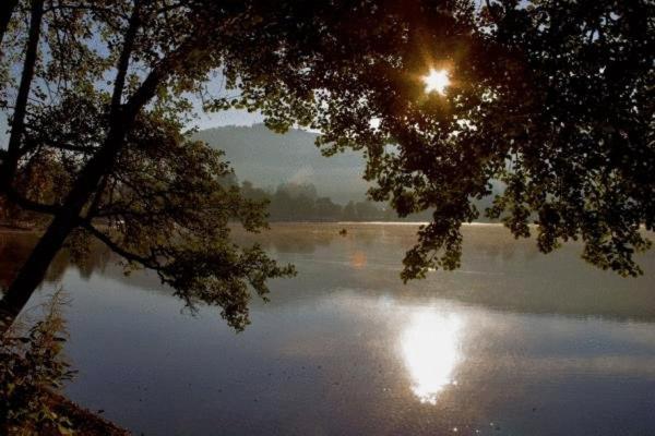 Gaestehaus Wald Und See Titisee-Neustadt Εξωτερικό φωτογραφία
